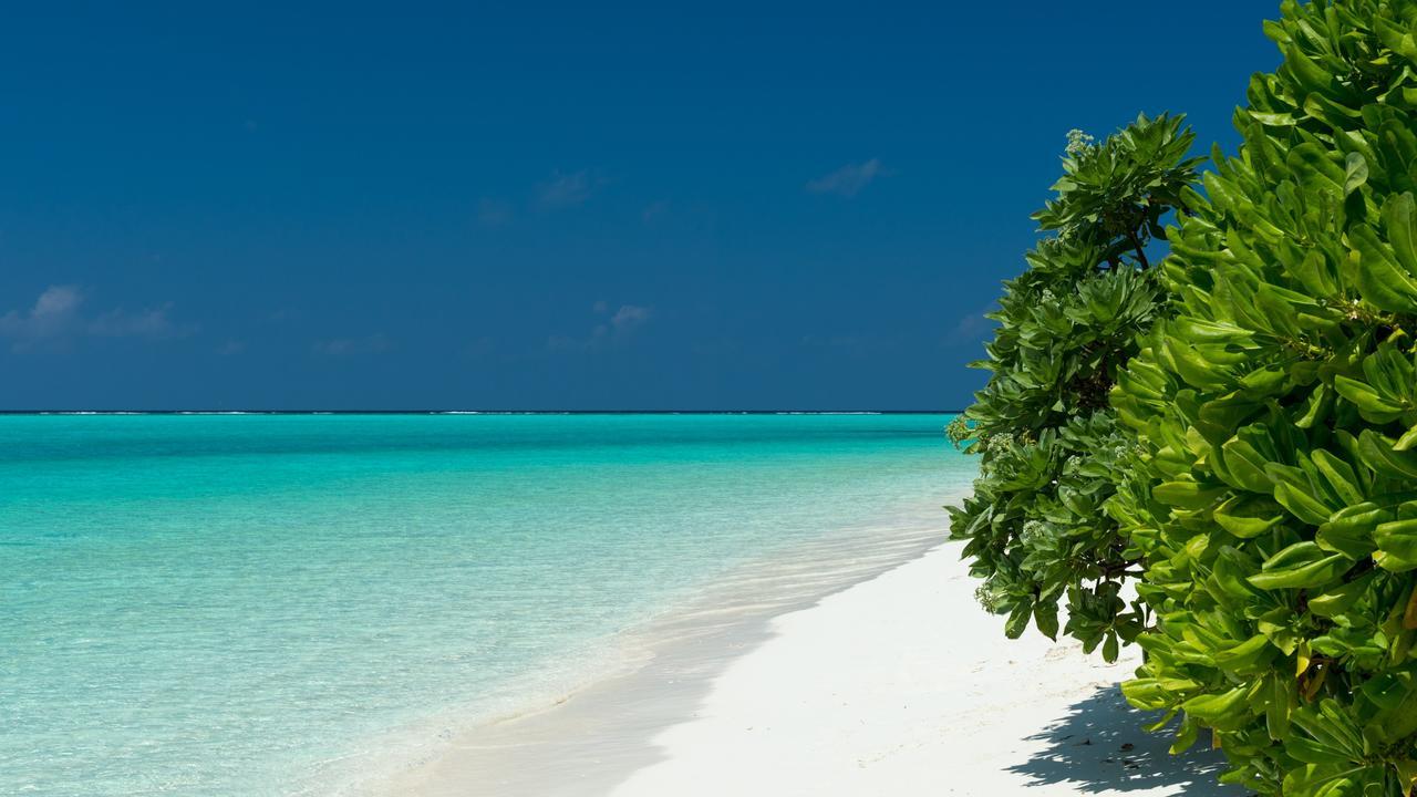 Thoddoo Beach Holiday Exteriör bild