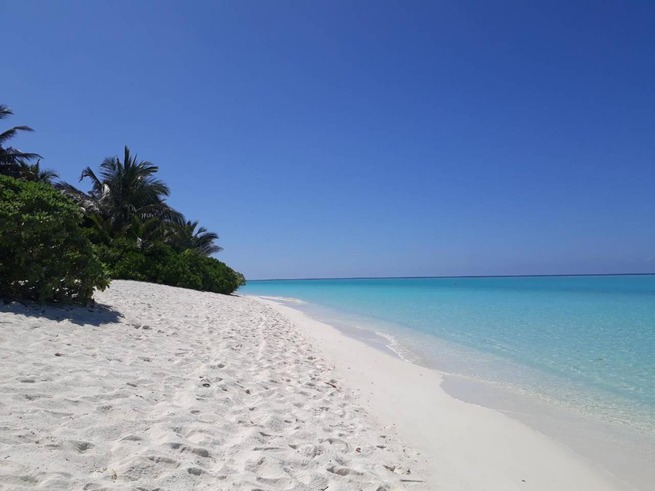 Thoddoo Beach Holiday Exteriör bild