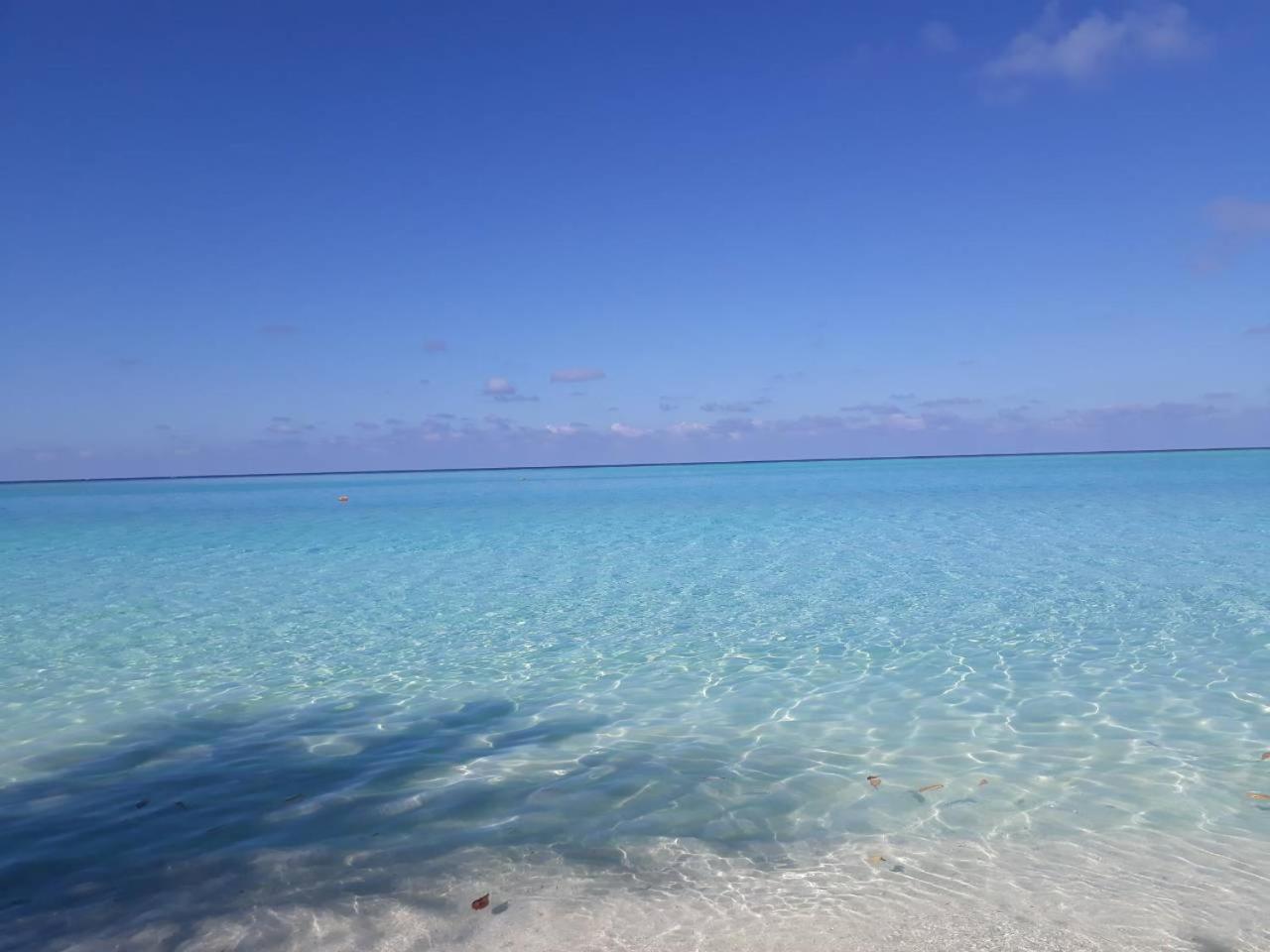 Thoddoo Beach Holiday Exteriör bild