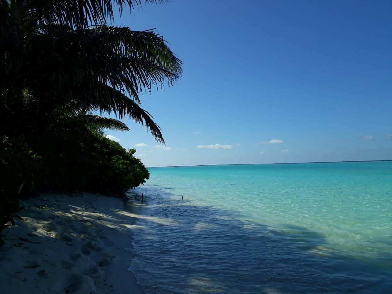 Thoddoo Beach Holiday Exteriör bild